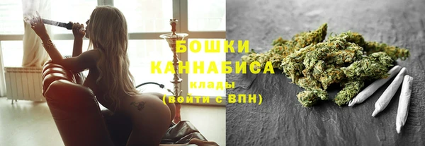 дурь Бородино