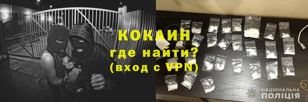 спайс Богданович