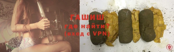индика Бронницы