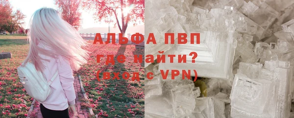 спайс Богданович