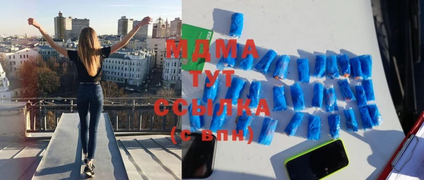 индика Бронницы