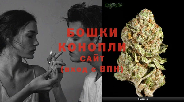 индика Бронницы
