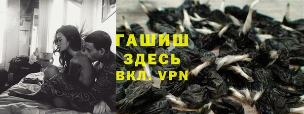 спайс Богданович