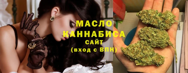 индика Бронницы